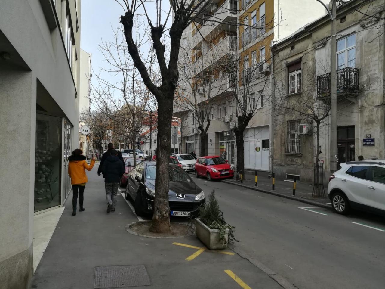 Center Skadarlija